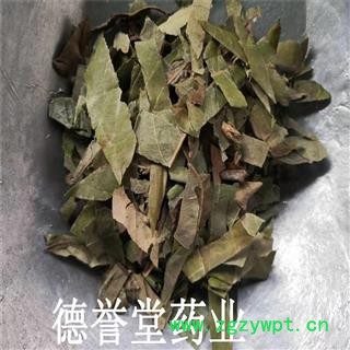 德誉堂药业 枇杷叶 选 枇杷叶 产地 天津 批发各种中药材图4