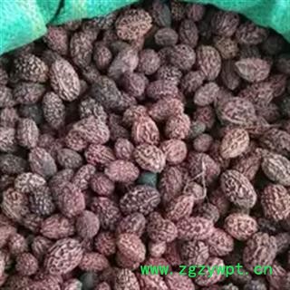 安祁名药正品印度菩提子  金刚菩提子 可用于工艺品或手串图2