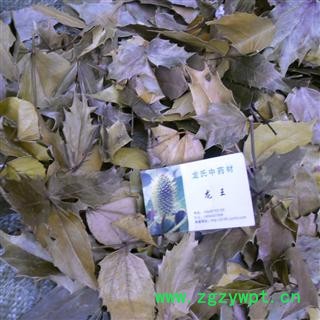 十大功劳叶 统货 产地 四川省巴中市平昌县图2