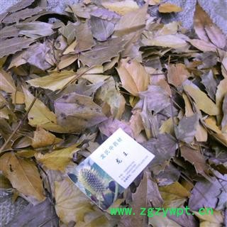 十大功劳叶 统货 产地 四川省巴中市平昌县图3