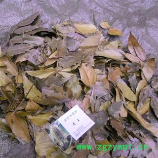 十大功劳叶 统货 产地 四川省巴中市平昌县图4