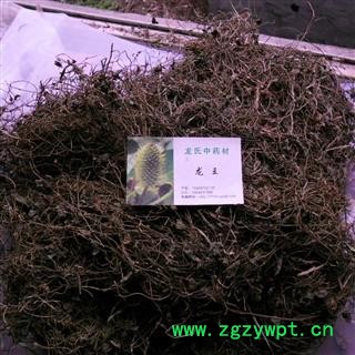 星星草 统货 产地 四川省成都市双流县图2