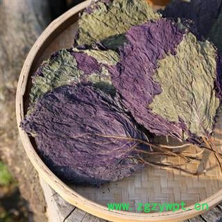 紫苏叶 秦岭优质紫苏 手工采摘分拣晾晒500g图4