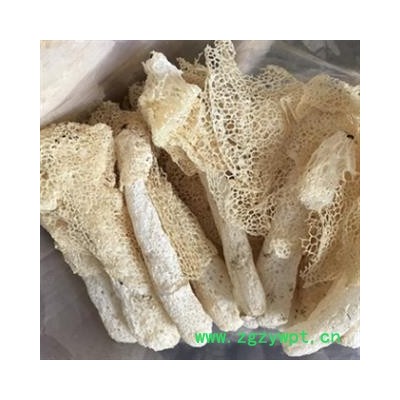 安祁名药竹茹 竹荪