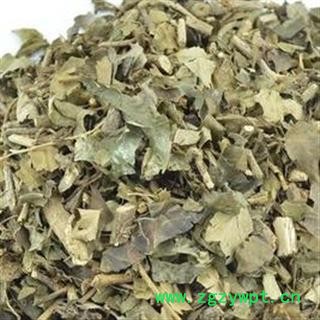 常春藤 选常春藤 土鼓藤、钻天风、三角风、散骨风 产地 广东省茂名市电白县图2