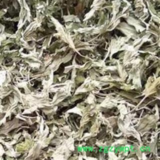 艾叶 大叶艾叶 今年新货 颜色漂亮 地道选货 新鲜 假一赔十  艾叶统片 产地 四川省图2