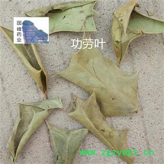 功劳叶 颜色好 低价销售 十大功劳叶 优质正品 全干 无虫蛀 国峰药业 重在品质 产地 广西壮族自治区图2