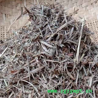 柠檬草，柠檬香茅，香草 精品好货 产地 四川省成都市双流县图4