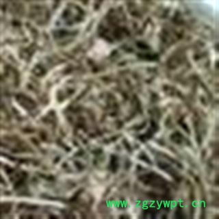 小丽百草行中药材星星草  画眉草 蚊子草促销图2