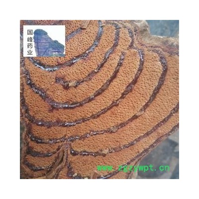 鸡血藤 大片 颜色好 血结多 足干 国峰药业 重在品质 产地 广西壮族自治区