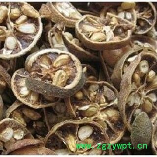 小丽百草行中药材枸橘果、枸橘李、 枸橘子 苦橘子 臭枳子 野橙子图2