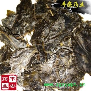 平安药业 苦丁茶 药用 茶丁 富丁茶 皋卢茶 毛叶黄牛木 黄浆果 土茶 茶盖 角刺茶图2