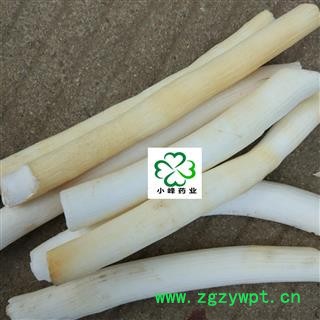 通草 大通草个子 颜色好 净货 产地 四川省图2