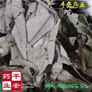 平安药业 番石榴叶 千年健 鸡矢茶 收敛止泻 正品 促销图2