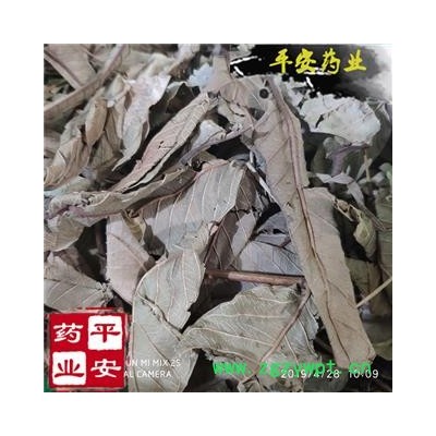 平安药业 番石榴叶 千年健 鸡矢茶 收敛止泻 正品 促销