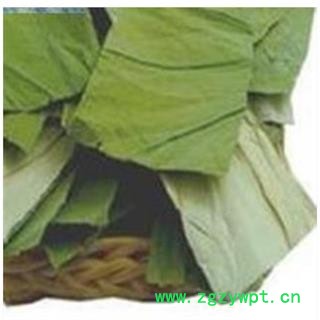 荷叶 荷叶中方片2.5×2 产地 山东省图2