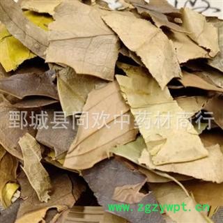 【十大功劳叶】@【同欢药材】中药材批发供应  规格齐全 量大从优  产地 广西壮族自治区图2