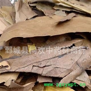 【十大功劳叶】@【同欢药材】中药材批发供应  规格齐全 量大从优  产地 广西壮族自治区图3
