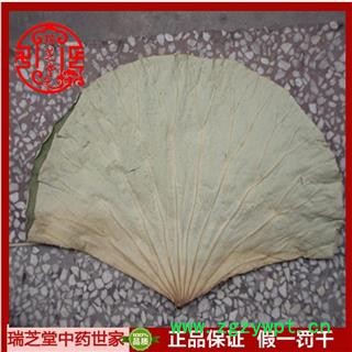 荷叶统片 中药材 瑞芝堂产地直销1000g药典正品 规格齐全 一站购齐图2