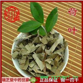 荷叶统片 中药材 瑞芝堂产地直销1000g药典正品 规格齐全 一站购齐图3