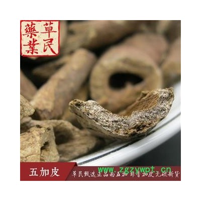 草民甄选五加皮 正品南五加 非香加皮 无硫新货 假一罚十 专业批发量大从优