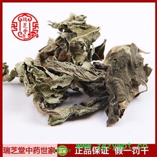 梧桐叶统货 四川白梧桐叶 药典正品 中药材 瑞芝堂产地直供1000克 规格齐全 一站购齐图4