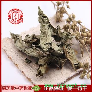 梧桐叶统货 四川白梧桐叶 药典正品 中药材 瑞芝堂产地直供1000克 规格齐全 一站购齐图3