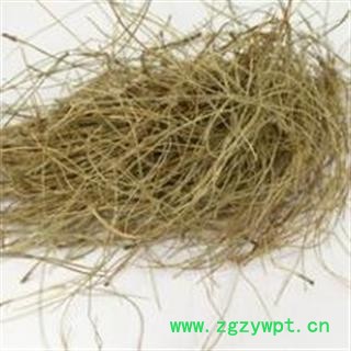 松针选货 质量好 价格低  产地 山东省图2