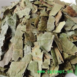 诺源药材行中药材枇杷叶 琵琶叶 另有蜜枇杷叶图3