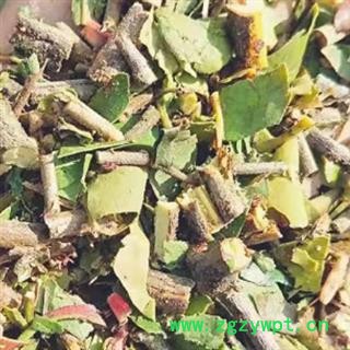 中药材桑寄生 本品有多个规格 无硫熏蒸 冬季至次春采割 切段 干燥 色泽自然 手工挑选 天然安全放心 安国中药材批发零售大全图2