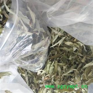 诺源药材行正品柳叶 垂柳叶 柳树叶图2