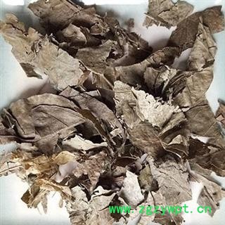 诺源药材行中药材黄皮叶 油皮 油梅图2