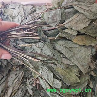 诺源药材行正品东北人参叶 人参苗 参叶图3