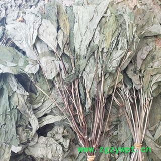 诺源药材行正品东北人参叶 人参苗 参叶图2