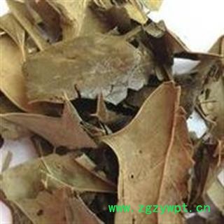 诺源药材行优质正品 功劳叶 十大功劳叶图3