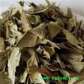 诺源药材行优质正品 功劳叶 十大功劳叶图2