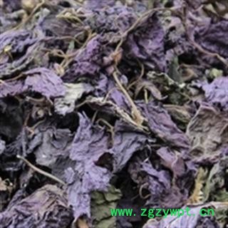 安祁名药紫苏叶 优质新货图3