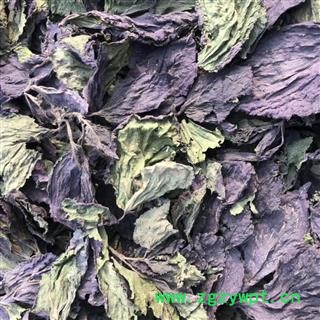 安祁名药紫苏叶 优质新货图2