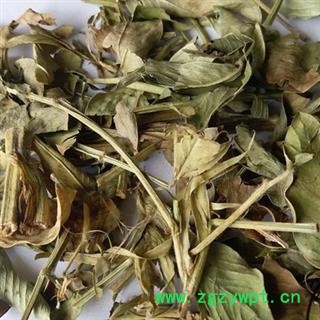 安祁名药花生叶 花生秧 花生草 无农药 优质助眠茶图2