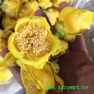 安祁名药百花茶 金花茶 各种包装精装图3