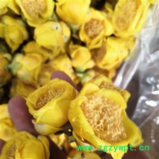 安祁名药百花茶 金花茶 各种包装精装图2