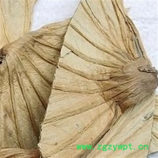 安祁名药优质荷叶蒂  荷蒂图3