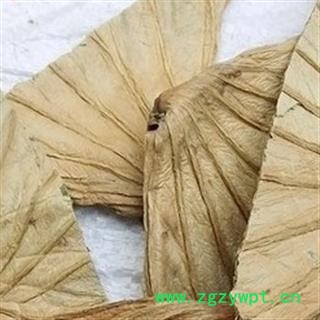 安祁名药优质荷叶蒂  荷蒂图2