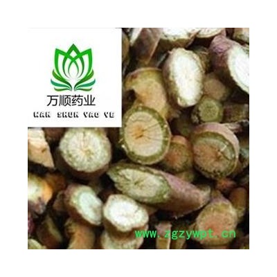 精品桑寄生大选片 纯大片无小丁  槲寄生 质量好 价格低 产地直销  产地 黑龙江省