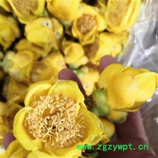 安祁名药百花茶 金花茶 各种包装图3