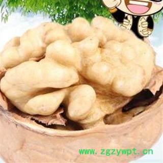 新货 新疆薄皮大核桃  德誉堂药业批发各种中药材图2