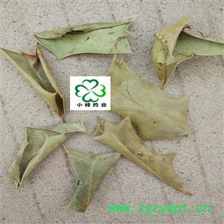 功劳叶 颜色好 边上有刺 新货 无虫蛀 产地 四川省图2