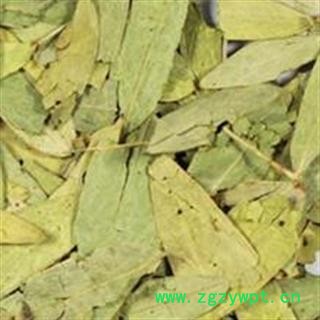 番泻叶 番泻叶统货 产地 广西壮族自治区图3