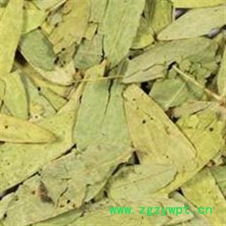 番泻叶 番泻叶统货 产地 广西壮族自治区图2