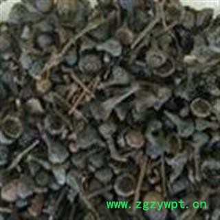 肉桂 肉桂子 产地 广西壮族自治区图3